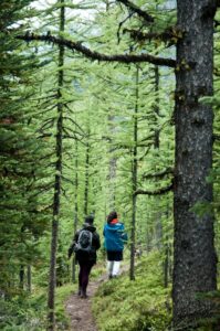 Two hikers on a forest trail representing the relationship between a therapist and client choosing the right guide for their mental health journey